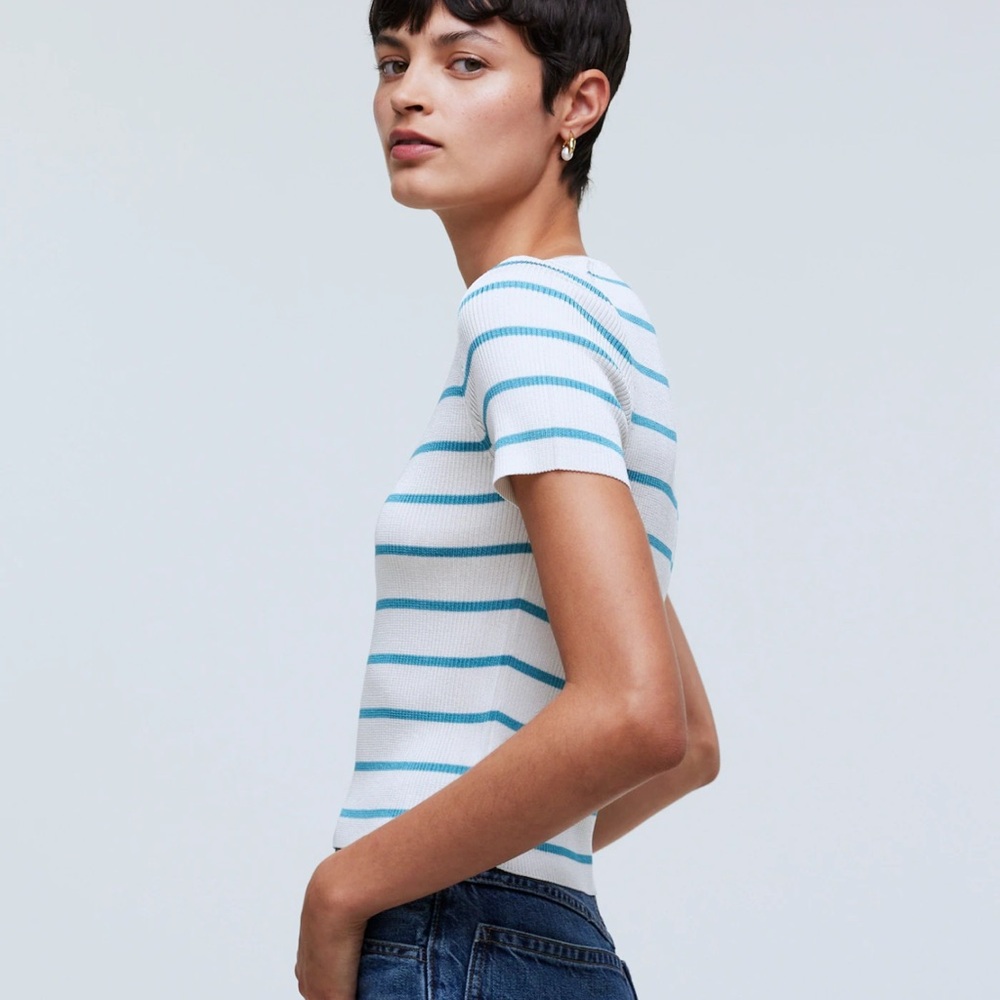 Madewell White and Blue Fitted Short Sleeve T-Shirt